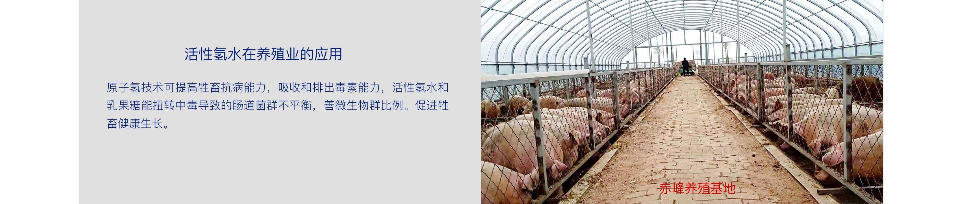 品牌优势-8